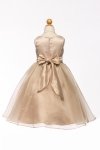 Champagne Satin & Organza Flower Girl Dress
